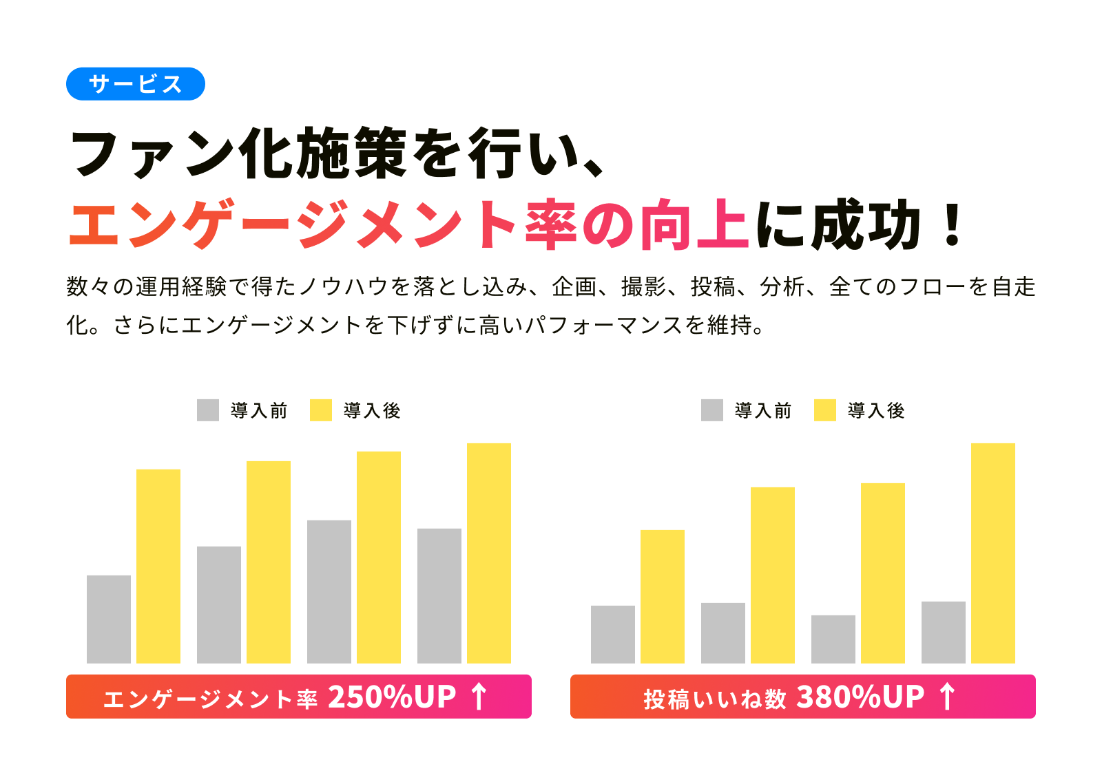 注文数の推移グラフ